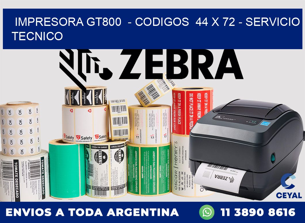 IMPRESORA GT800  - CODIGOS  44 x 72 - SERVICIO TECNICO