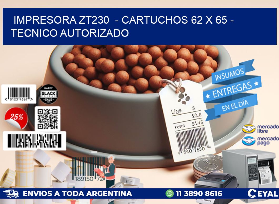 IMPRESORA ZT230  - CARTUCHOS 62 x 65 - TECNICO AUTORIZADO