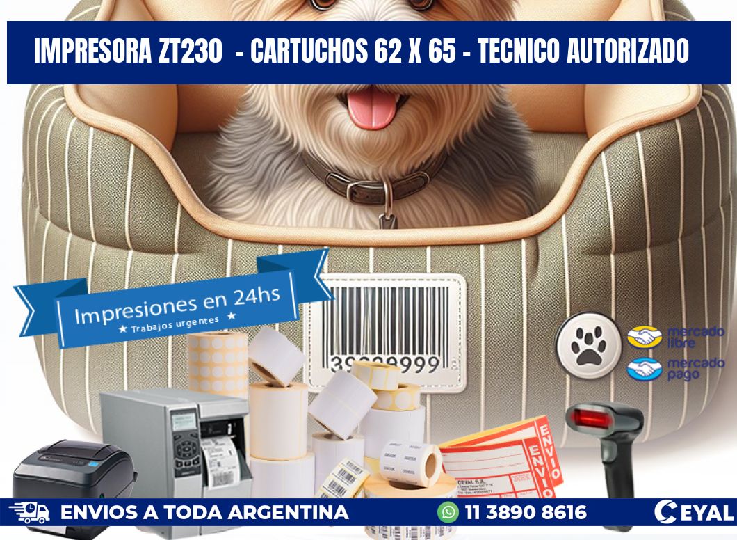 IMPRESORA ZT230  - CARTUCHOS 62 x 65 - TECNICO AUTORIZADO