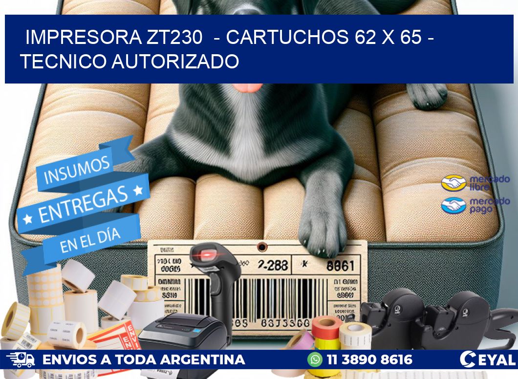 IMPRESORA ZT230  - CARTUCHOS 62 x 65 - TECNICO AUTORIZADO