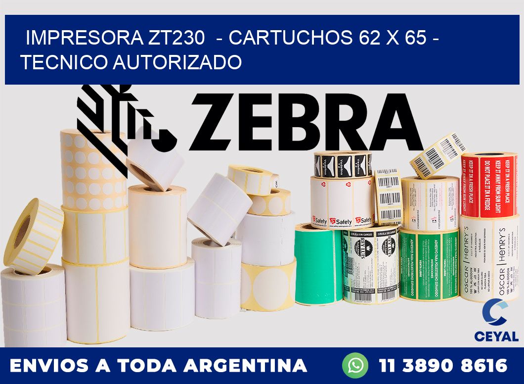 IMPRESORA ZT230  - CARTUCHOS 62 x 65 - TECNICO AUTORIZADO