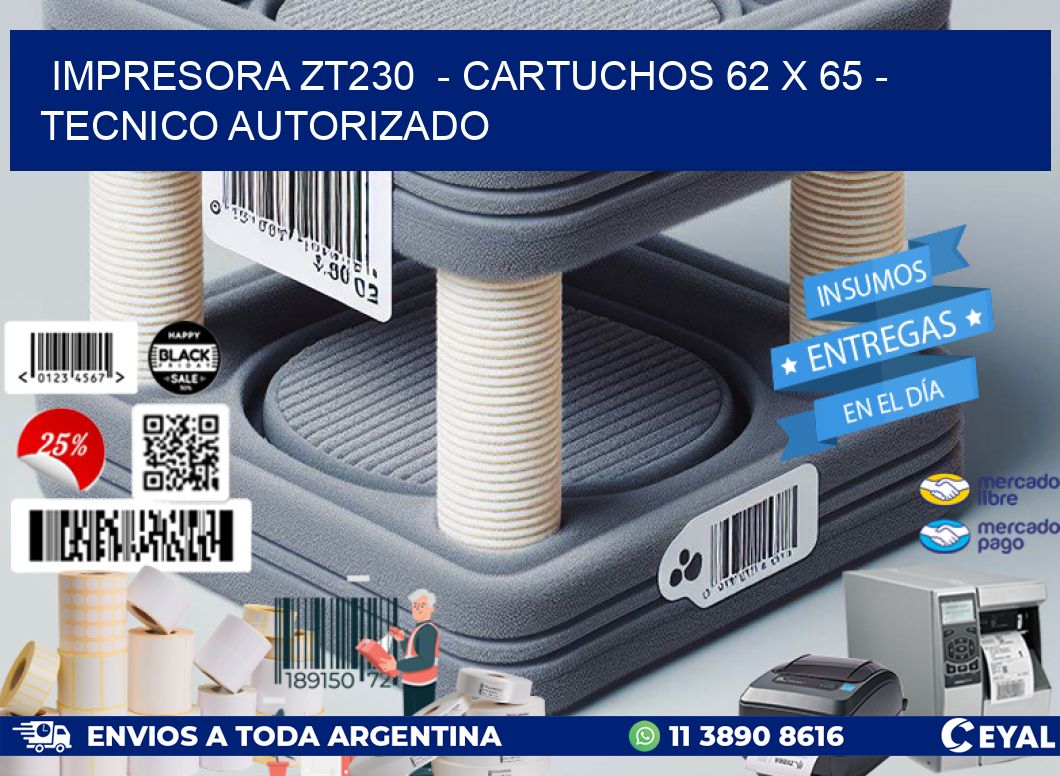 IMPRESORA ZT230  – CARTUCHOS 62 x 65 – TECNICO AUTORIZADO
