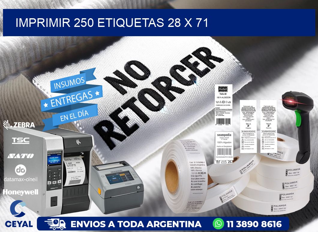 IMPRIMIR 250 ETIQUETAS 28 x 71
