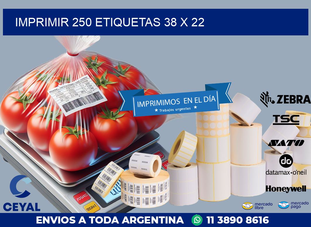 IMPRIMIR 250 ETIQUETAS 38 x 22