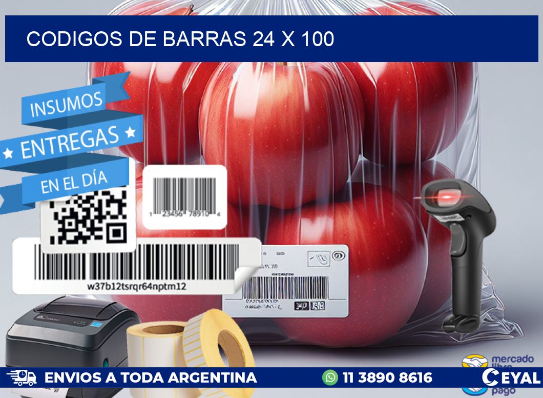 codigos de barras 24 x 100