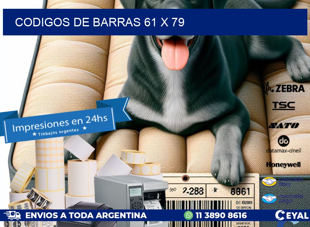 codigos de barras 61 x 79