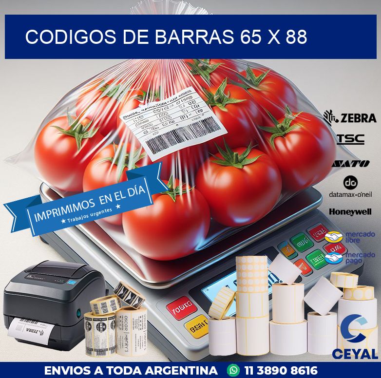codigos de barras 65 x 88