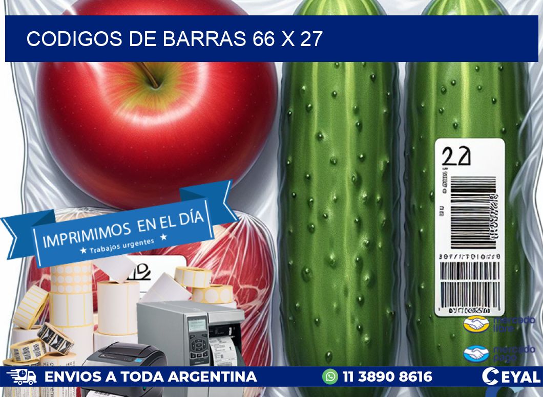 codigos de barras 66 x 27