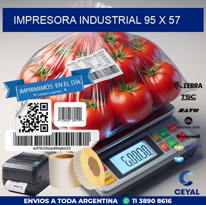impresora industrial 95 x 57
