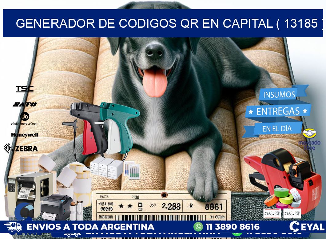 GENERADOR DE CODIGOS QR EN CAPITAL ( 13185 )