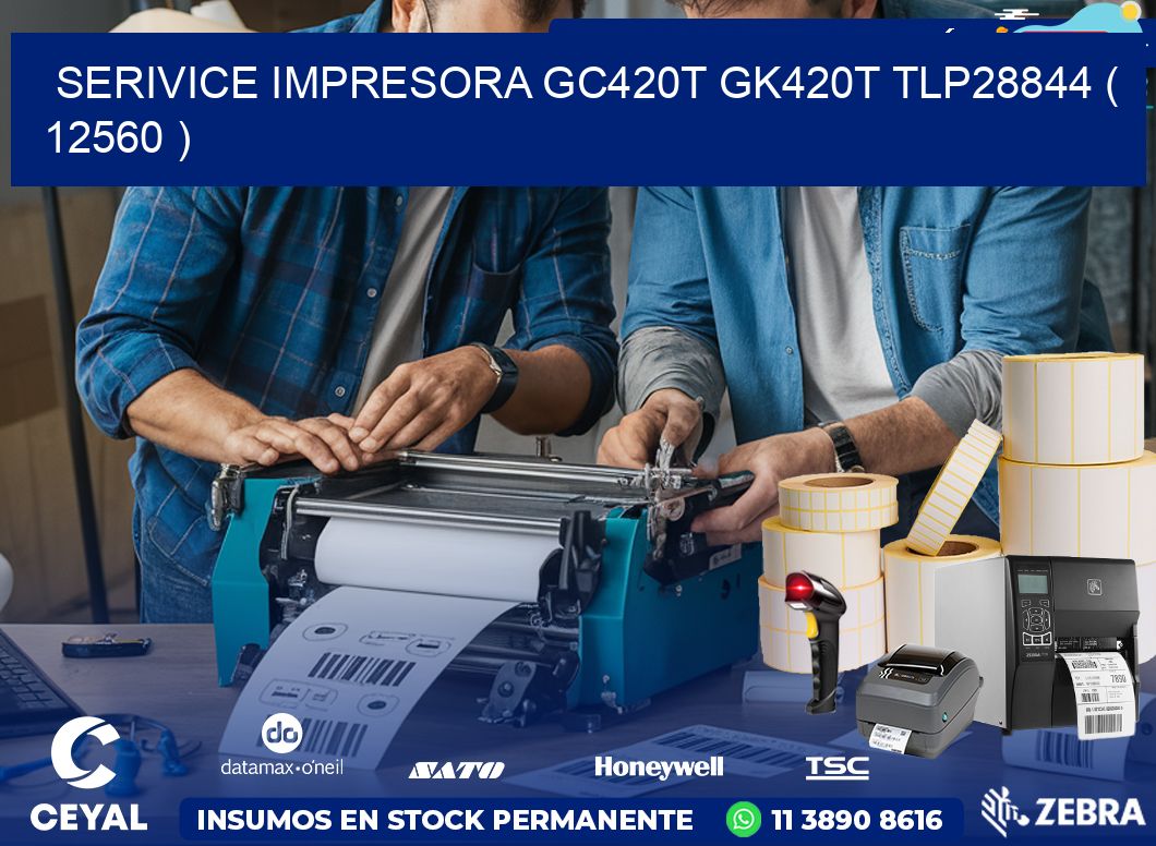 SERIVICE IMPRESORA GC420T GK420T TLP28844 ( 12560 )