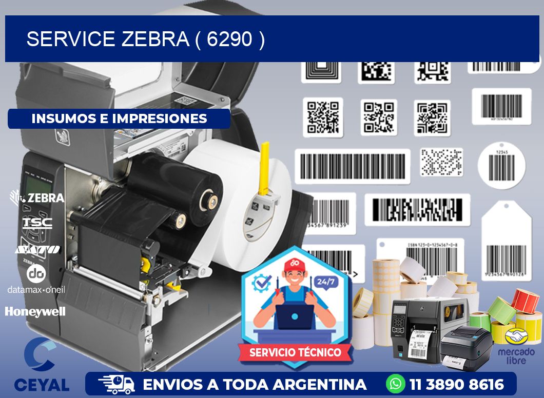 service zebra ( 6290 )