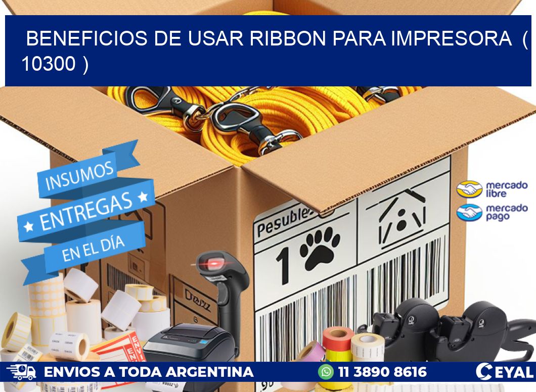 BENEFICIOS DE USAR RIBBON PARA IMPRESORA  ( 10300 )