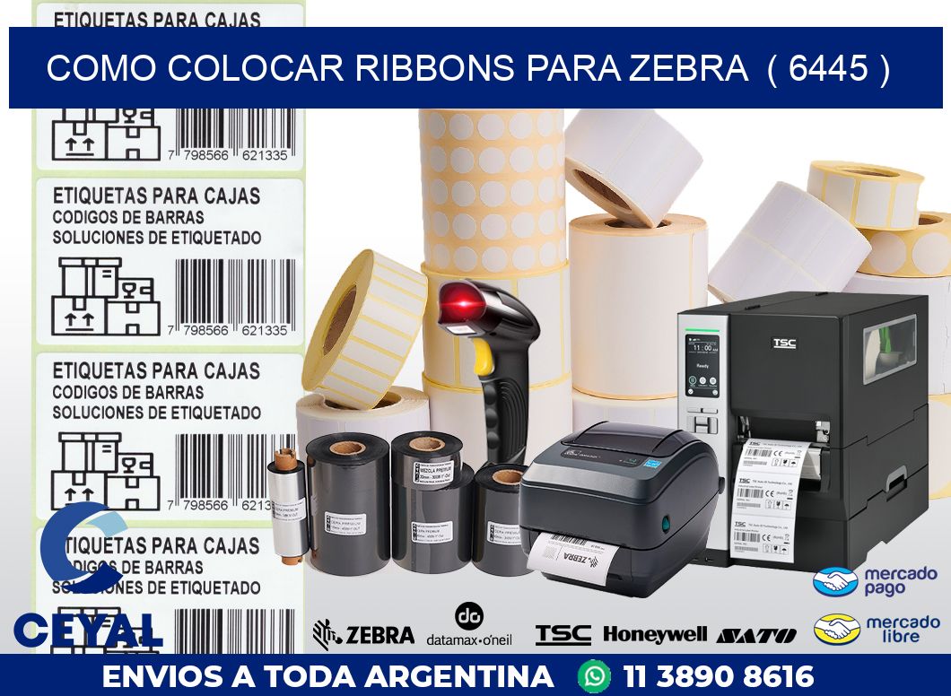 COMO COLOCAR RIBBONS PARA ZEBRA  ( 6445 )