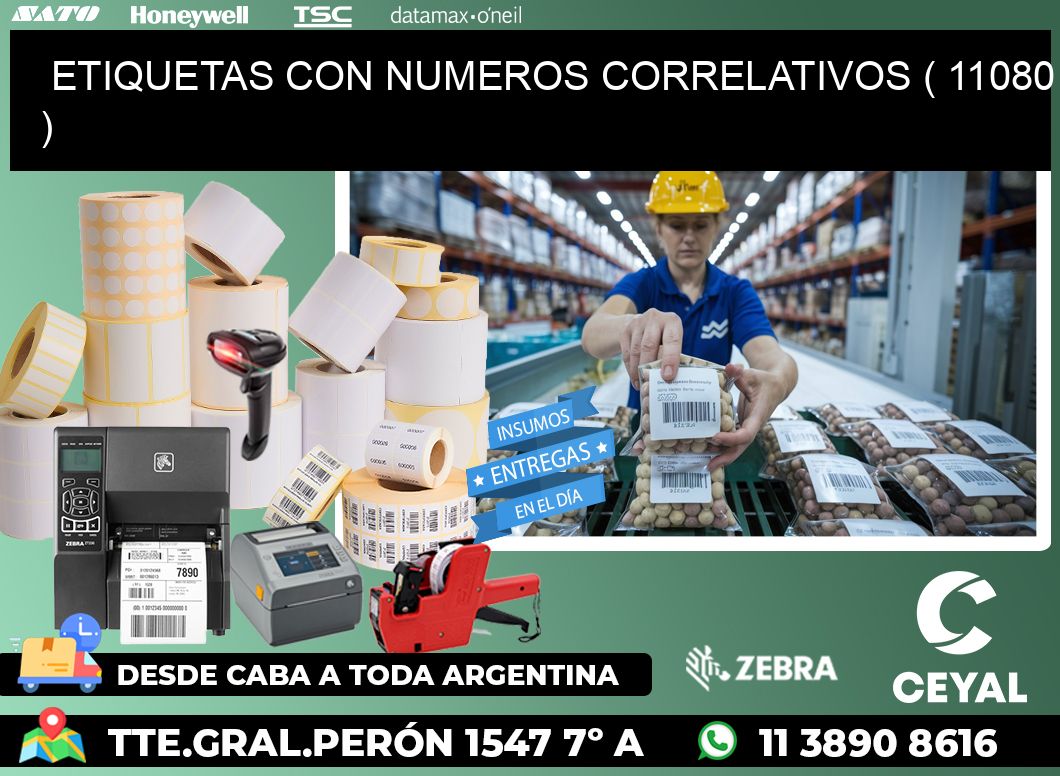 ETIQUETAS CON NUMEROS CORRELATIVOS ( 11080 )