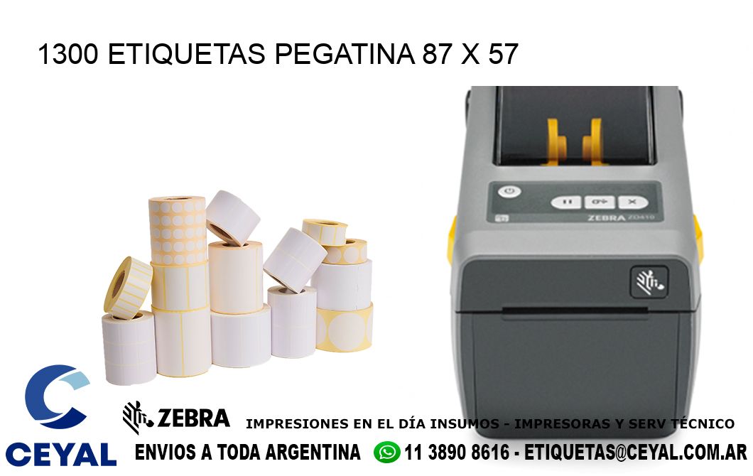 1300 ETIQUETAS PEGATINA 87 x 57