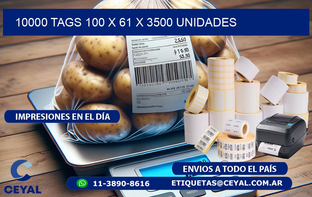 10000 TAGS 100 x 61 X 3500 UNIDADES