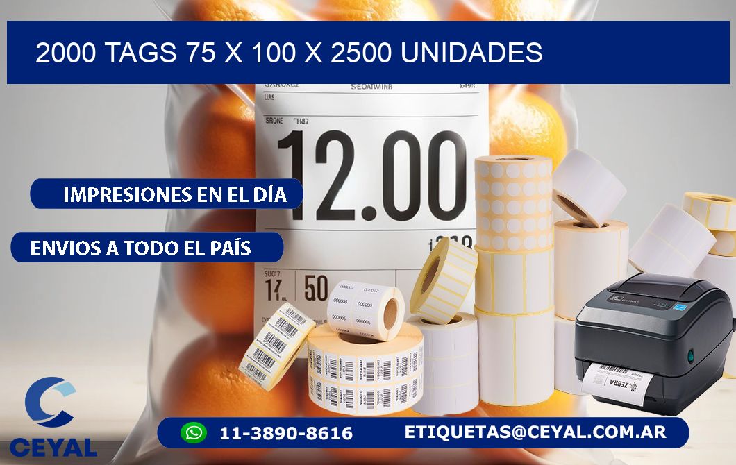 2000 TAGS 75 x 100 X 2500 UNIDADES