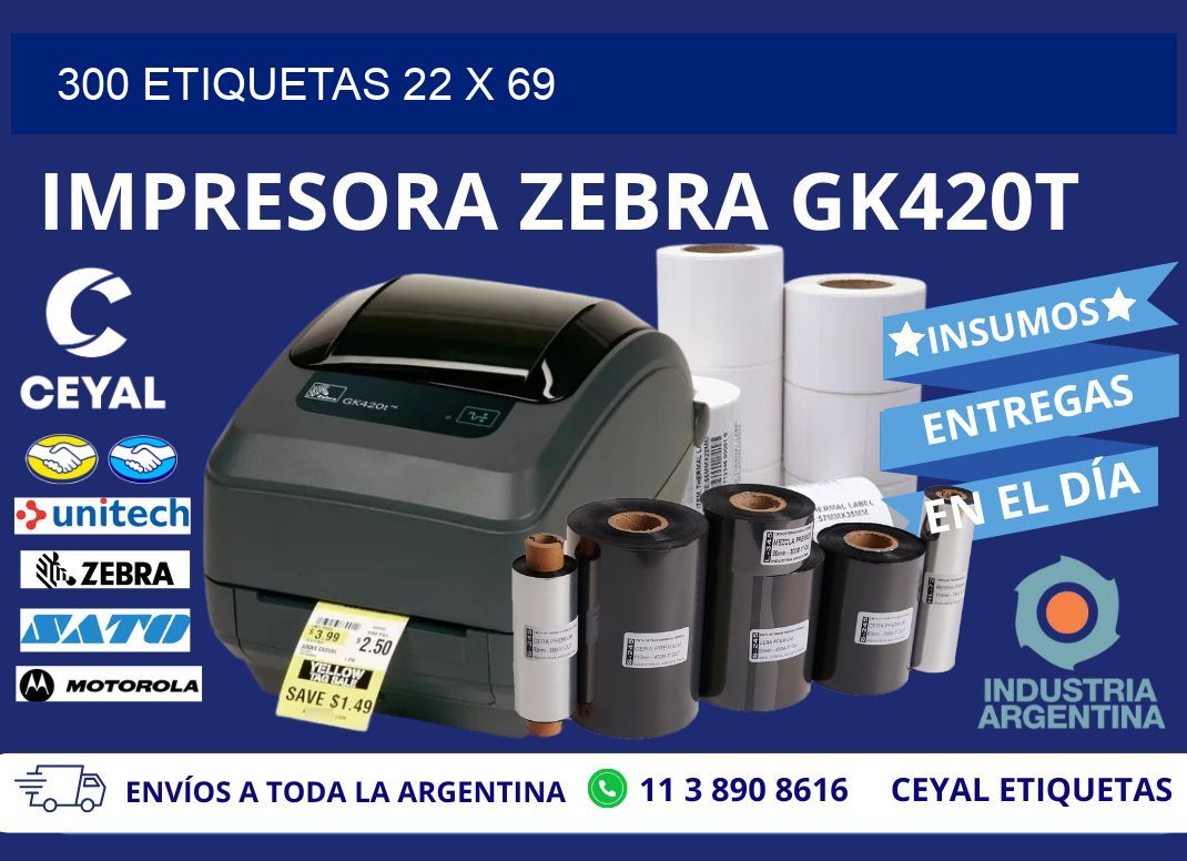 300 ETIQUETAS 22 x 69