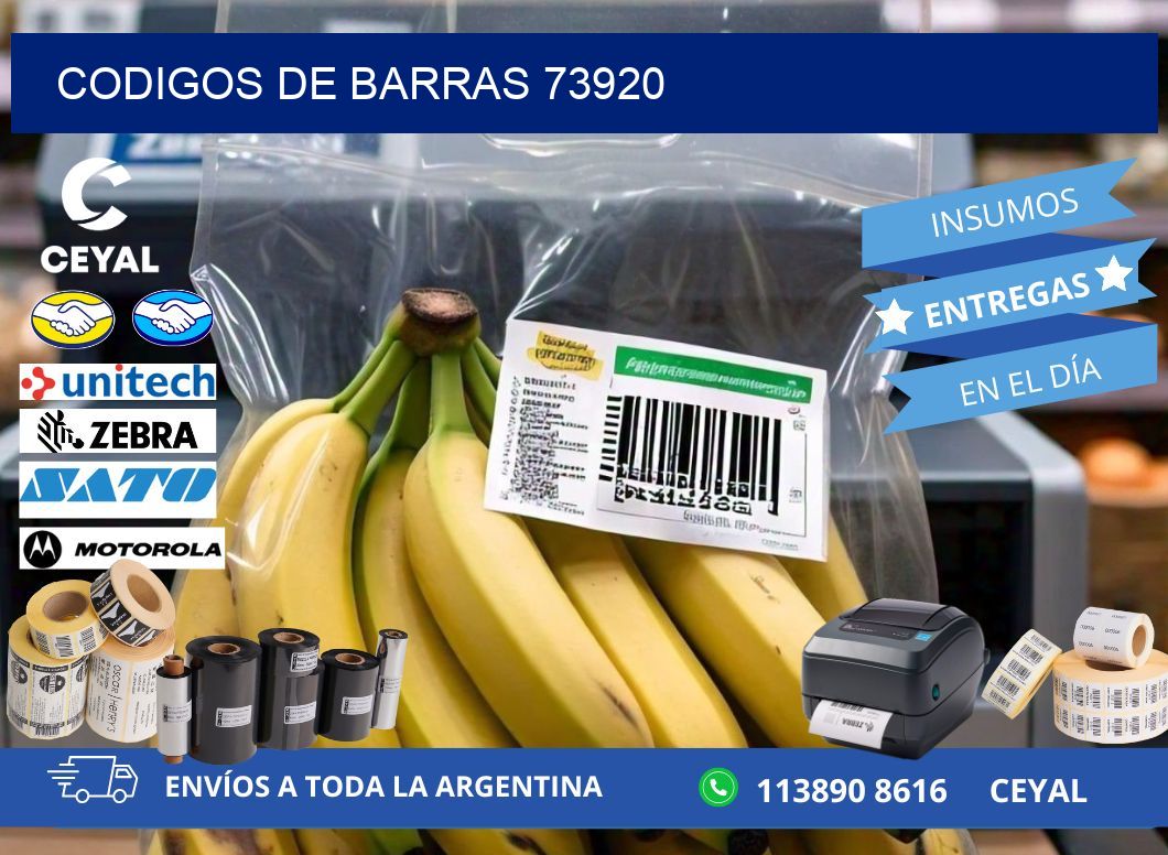 CODIGOS DE BARRAS 73920