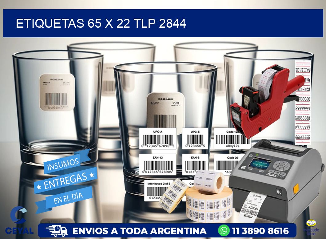 ETIQUETAS 65 x 22 TLP 2844