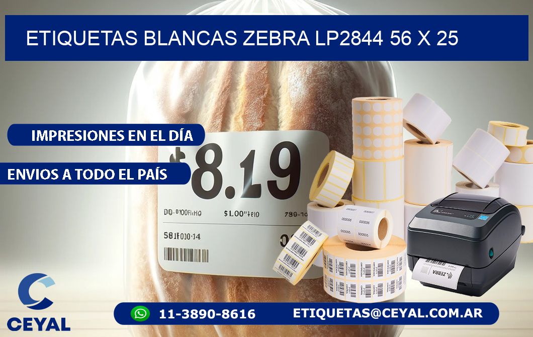 ETIQUETAS BLANCAS ZEBRA LP2844 56 x 25