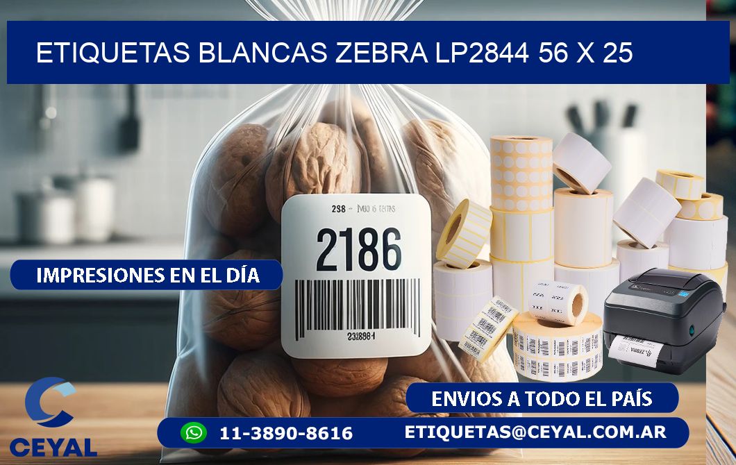 ETIQUETAS BLANCAS ZEBRA LP2844 56 x 25