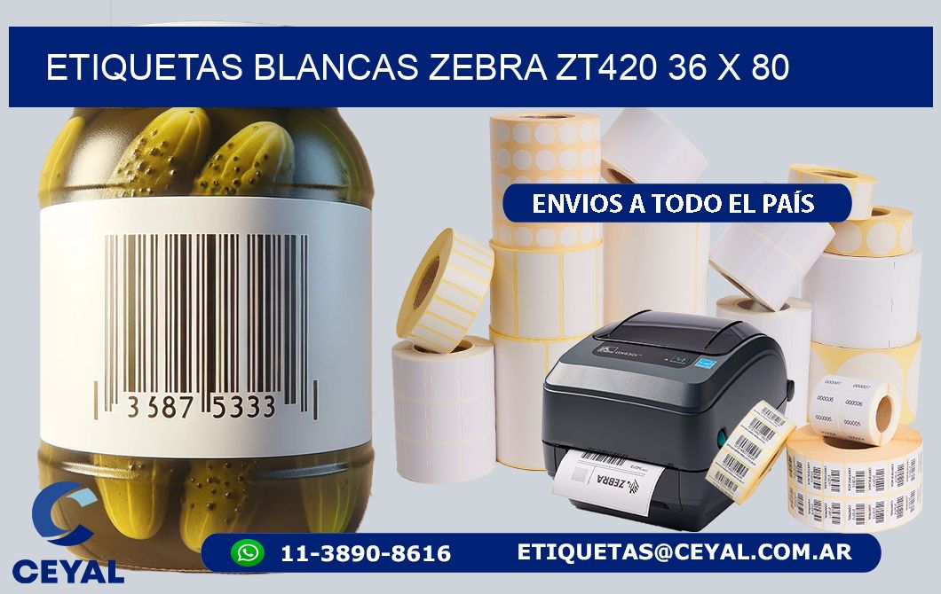 ETIQUETAS BLANCAS ZEBRA ZT420 36 x 80