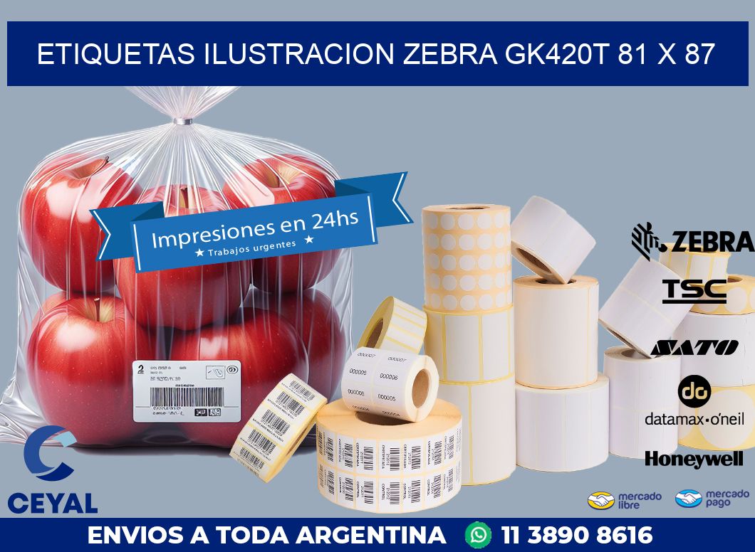 ETIQUETAS ILUSTRACION ZEBRA GK420T 81 x 87