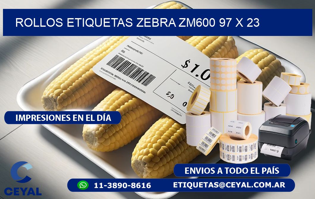 ROLLOS ETIQUETAS Zebra ZM600 97 x 23