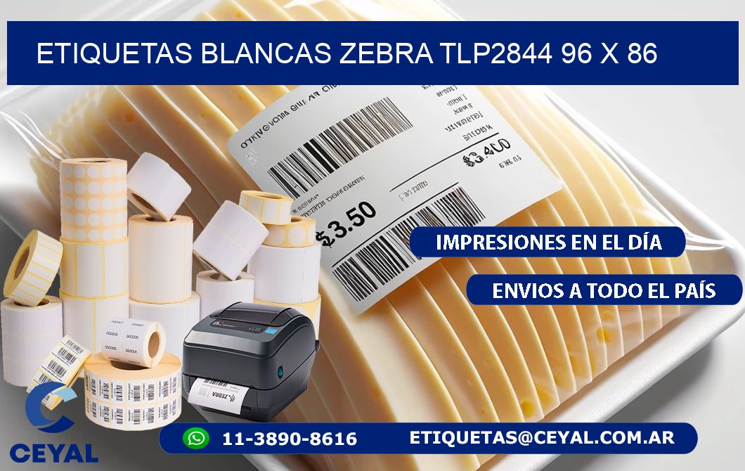 ETIQUETAS BLANCAS ZEBRA TLP2844 96 x 86