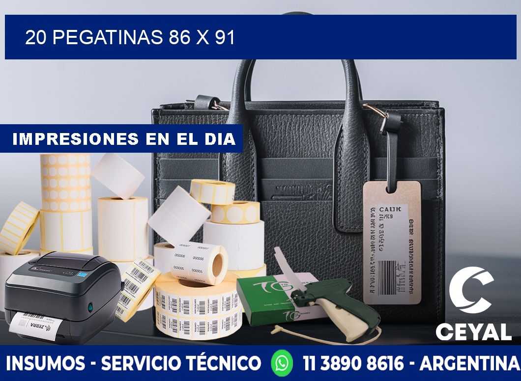 20 PEGATINAS 86 x 91
