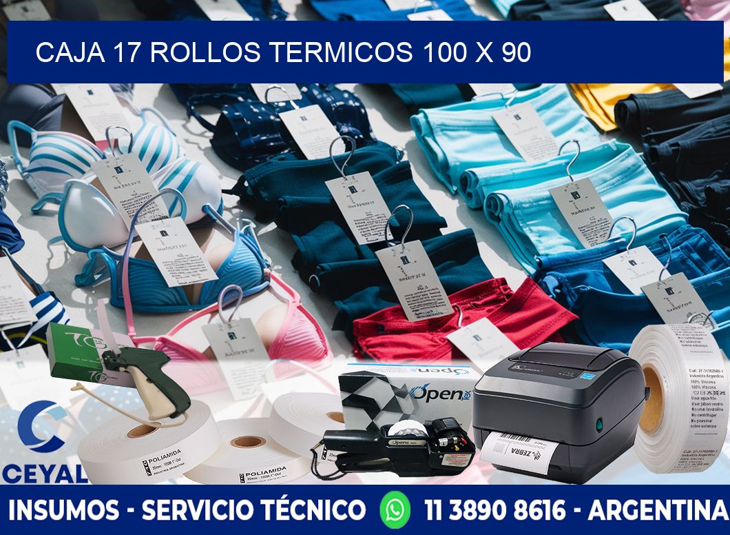 CAJA 17 ROLLOS TERMICOS 100 x 90