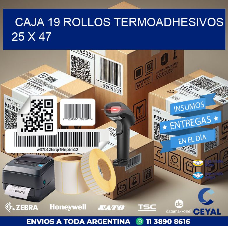 CAJA 19 ROLLOS TERMOADHESIVOS 25 x 47