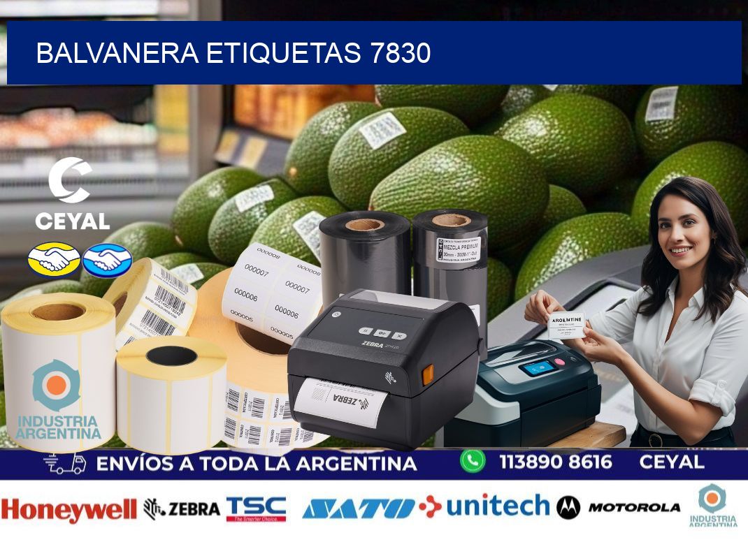 Balvanera etiquetas 7830