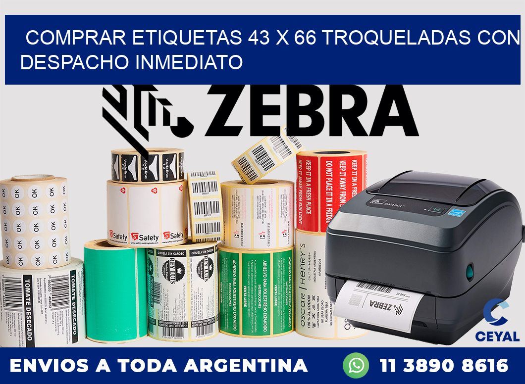 Comprar etiquetas 43 x 66 troqueladas con despacho inmediato