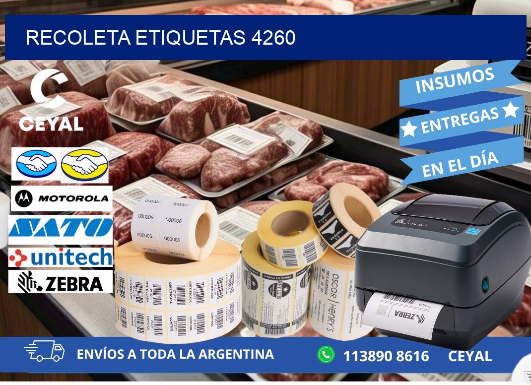 Recoleta etiquetas 4260