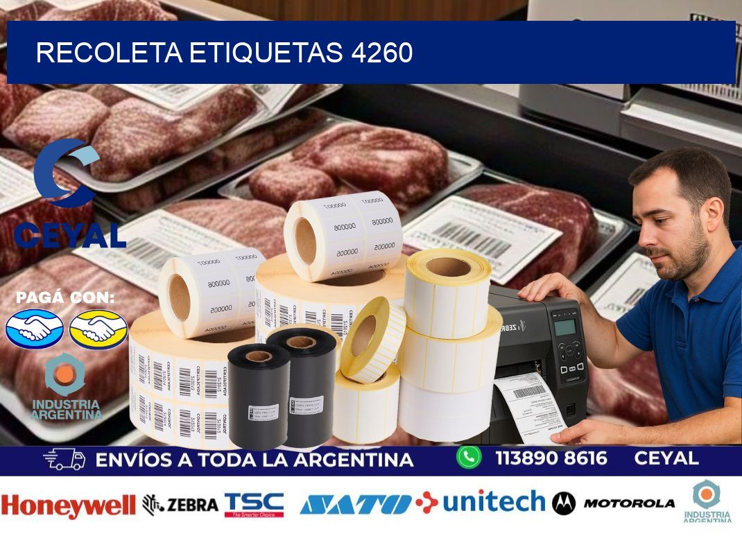 Recoleta etiquetas 4260