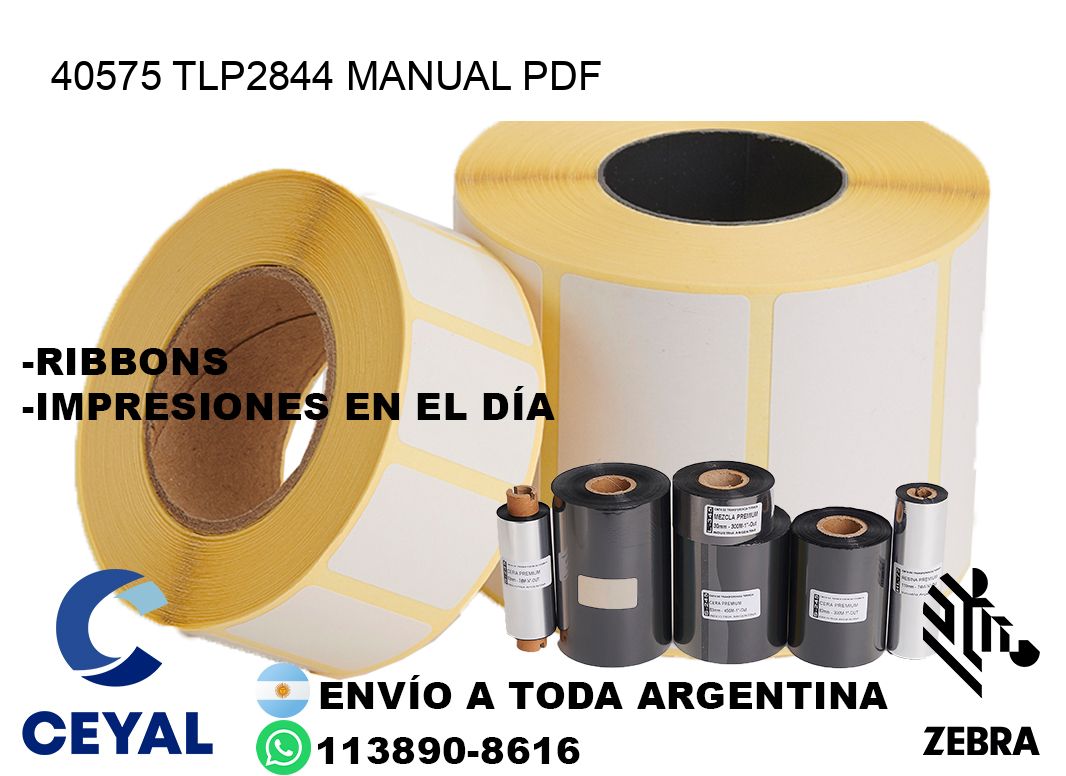 40575 TLP2844 manual PDF