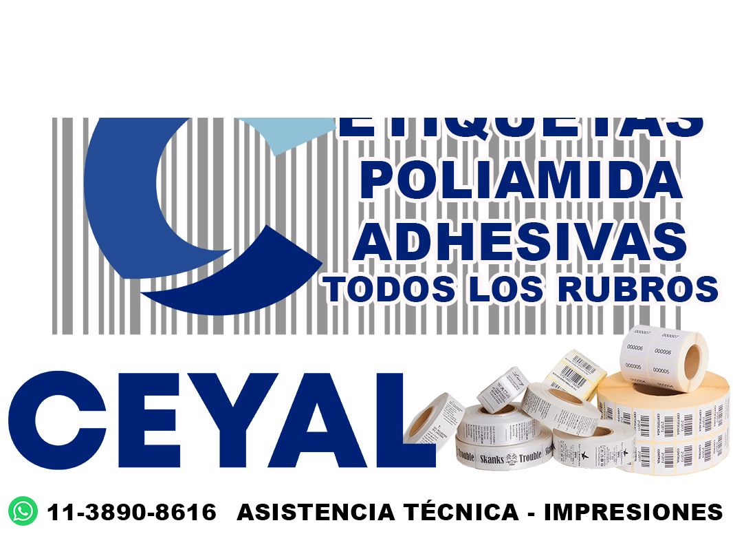 48655 Impresora de etiquetas autoadhesivas industrial