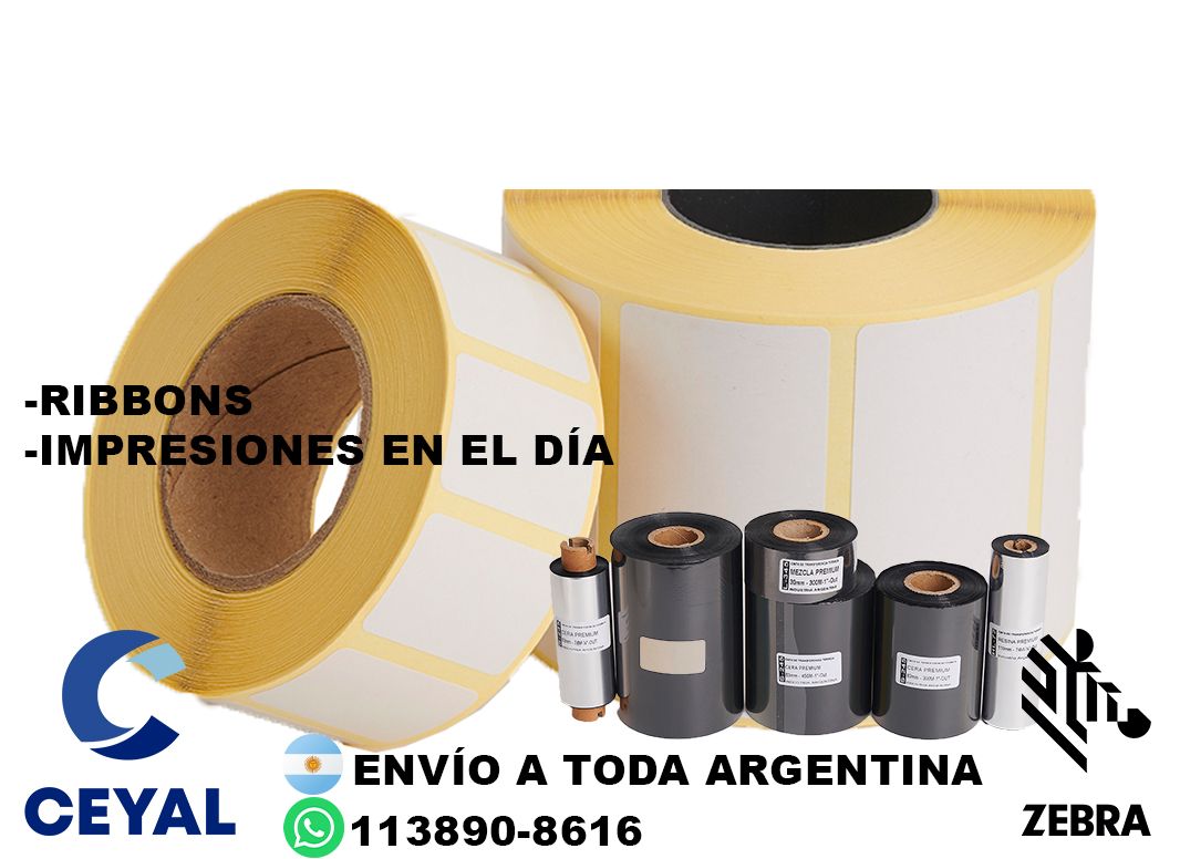 48655 Impresora de etiquetas autoadhesivas industrial