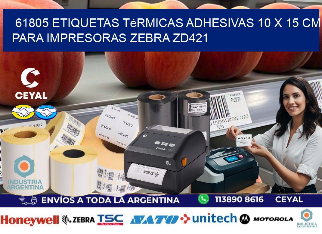 61805 Etiquetas Térmicas Adhesivas 10 x 15 cm para Impresoras Zebra ZD421
