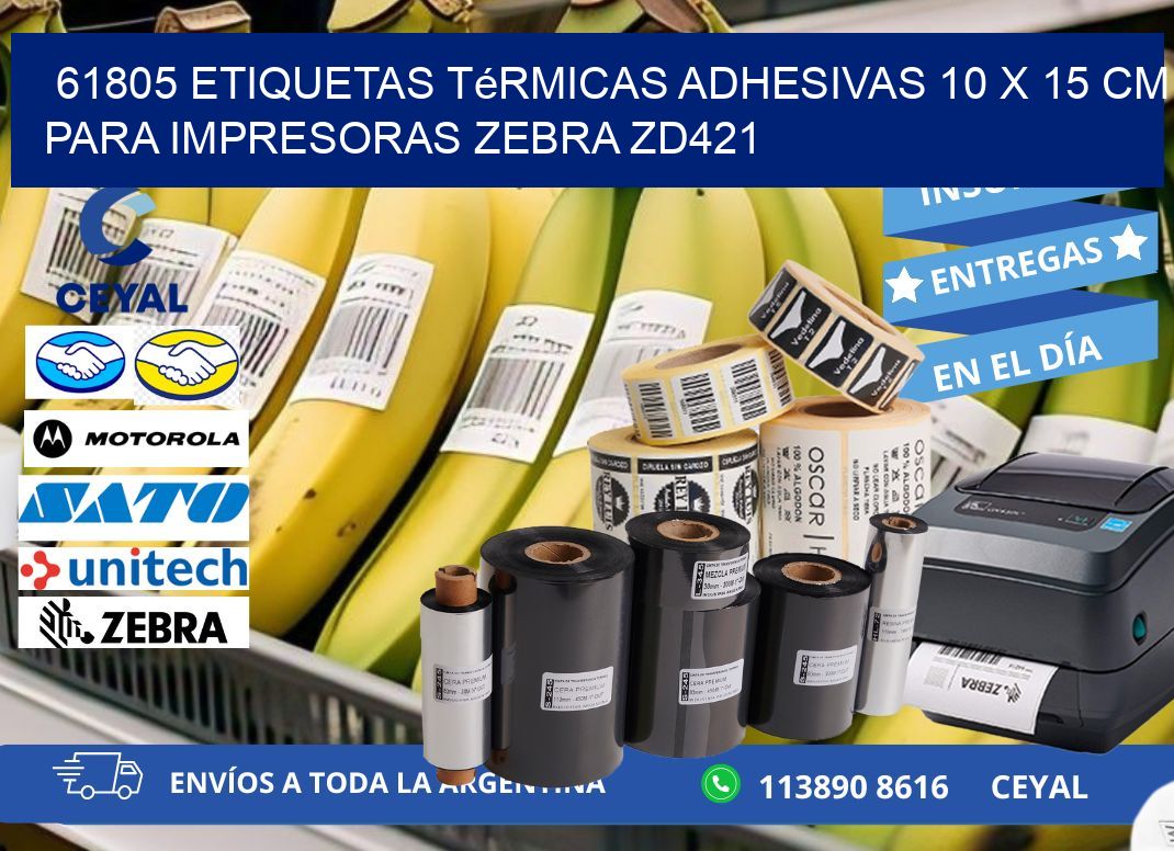61805 Etiquetas Térmicas Adhesivas 10 x 15 cm para Impresoras Zebra ZD421