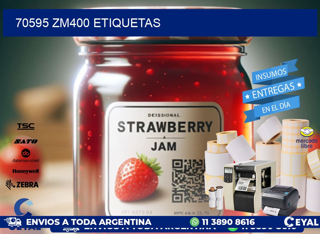 70595 ZM400 etiquetas