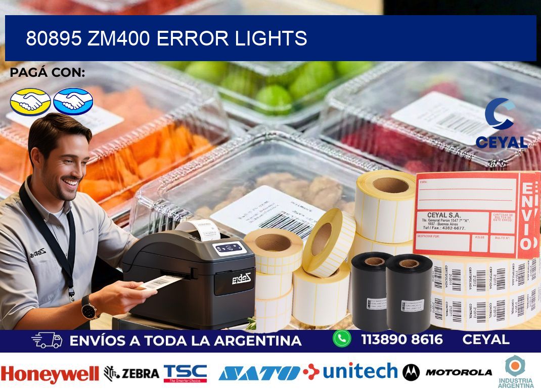 80895 ZM400 error lights
