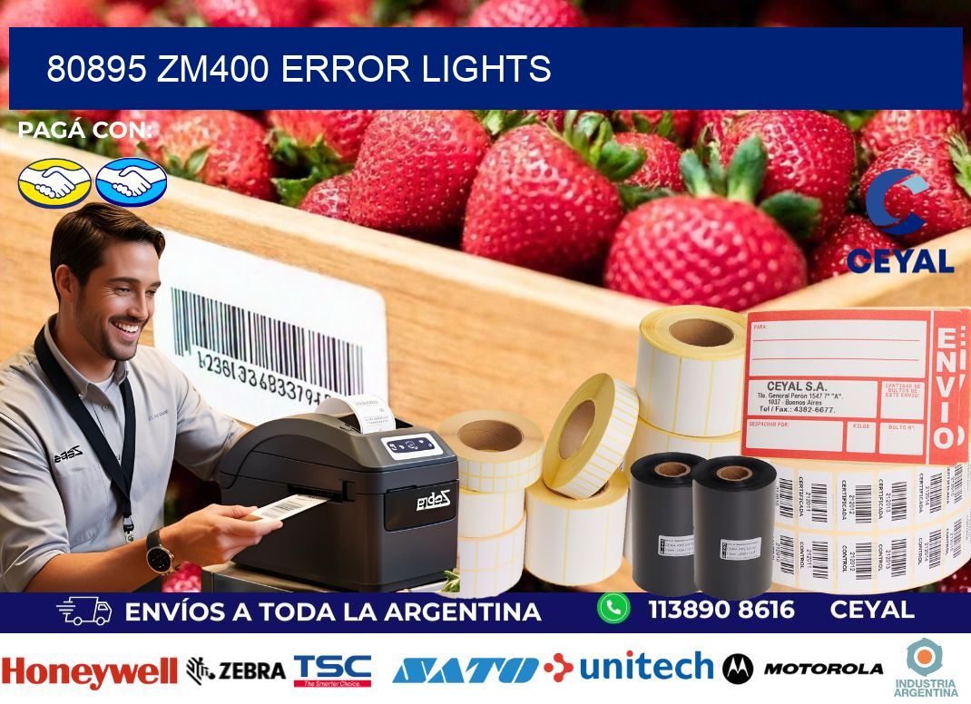 80895 ZM400 error lights