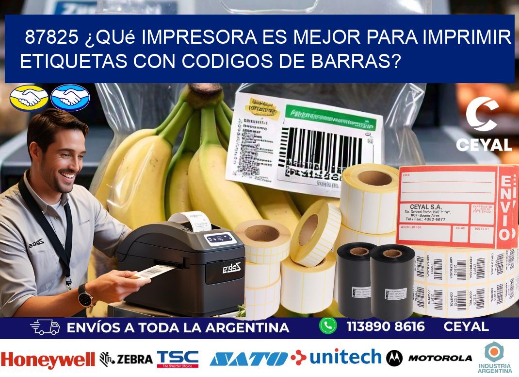 87825 ¿Qué impresora es mejor para imprimir etiquetas con codigos de barras?