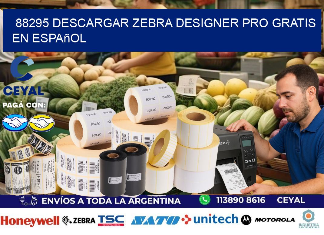 88295 Descargar Zebra Designer Pro gratis en Español