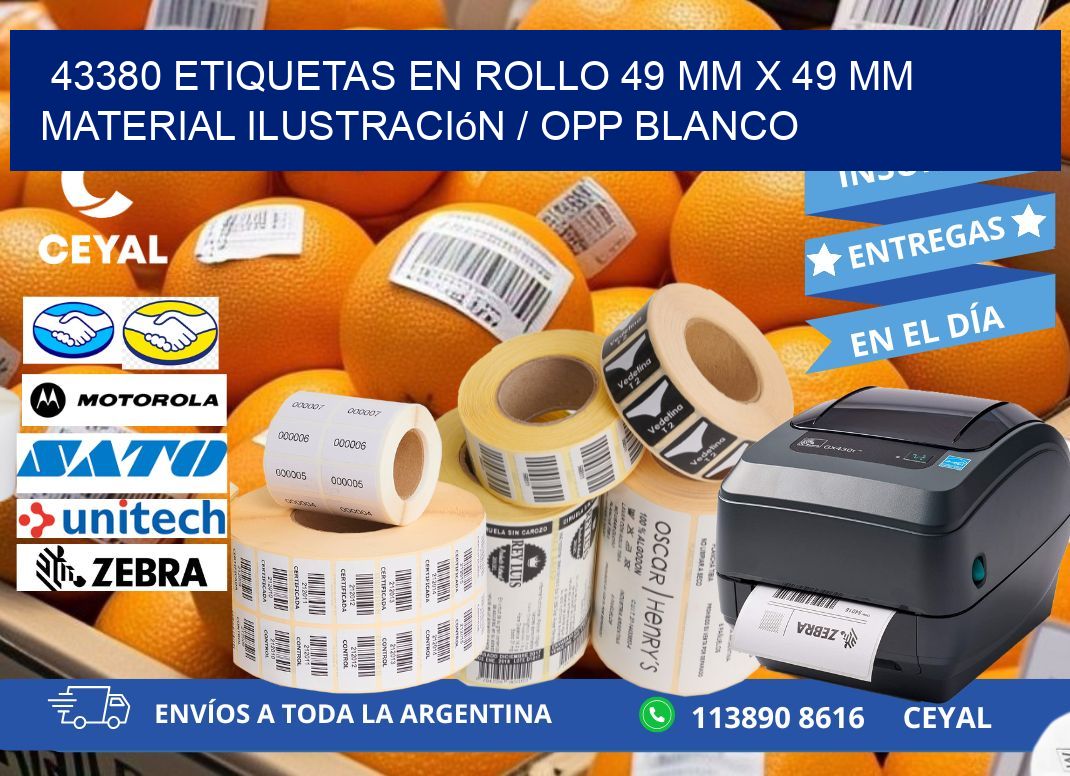 43380 Etiquetas en rollo 49 mm x 49 mm material Ilustración / OPP Blanco
