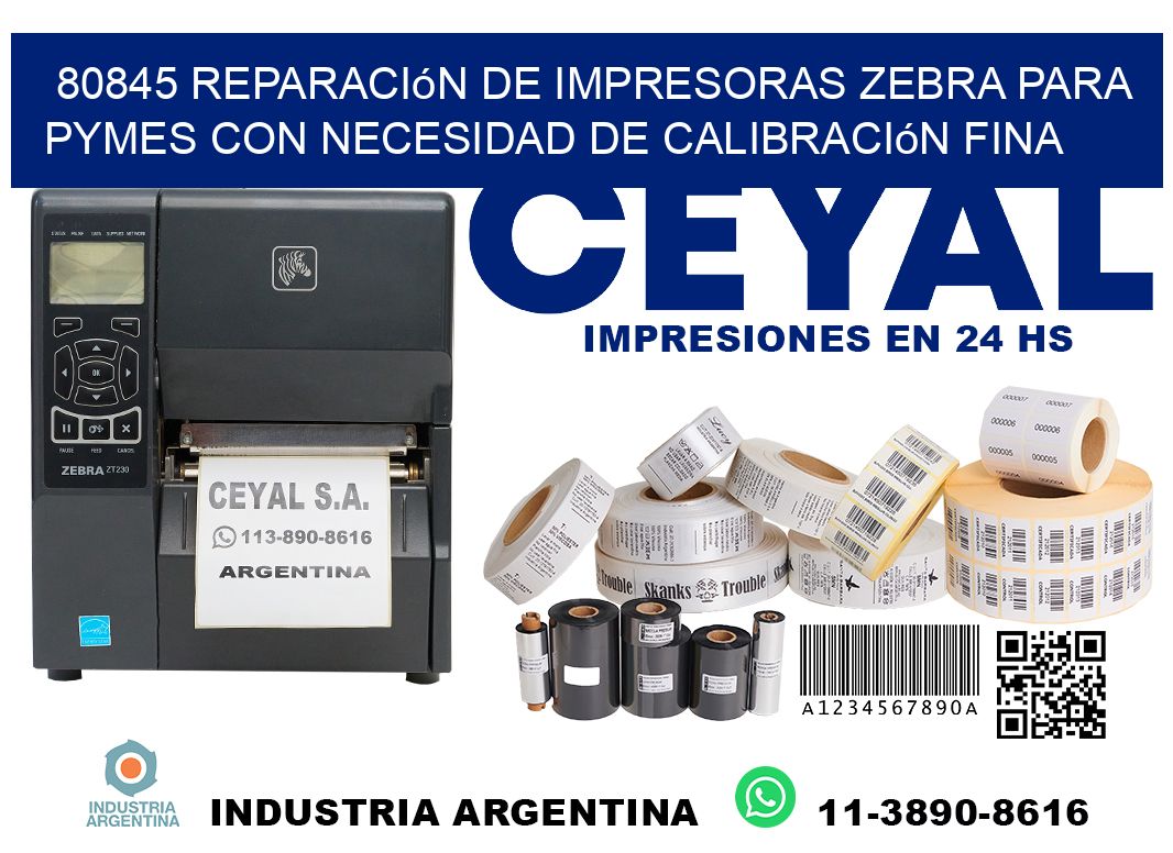 80845 reparación de impresoras zebra para pymes con necesidad de calibración fina